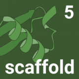 Scaffold